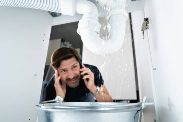 Best Clogged Drain Plumber  in Brookings, SD
