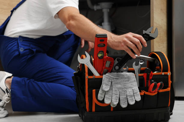 Best Local Plumber Services  in Brookings, SD